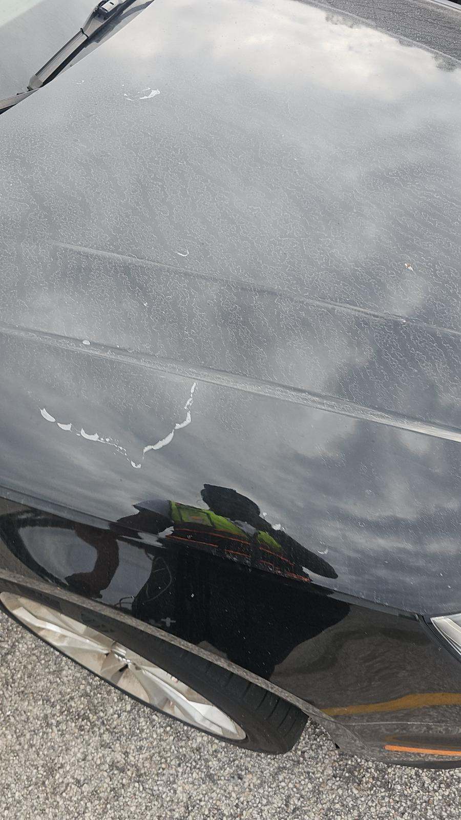 2019 Audi A4 Premium Plus AWD