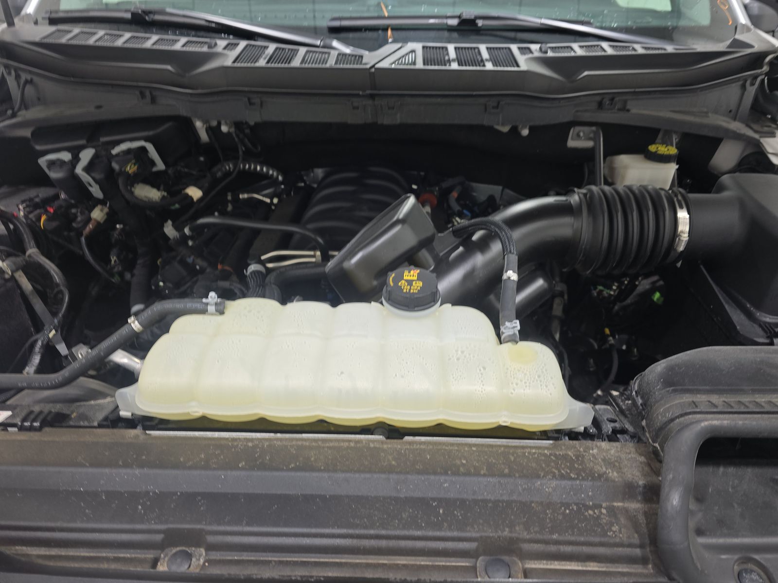 2024 Ford F-150 XLT AWD