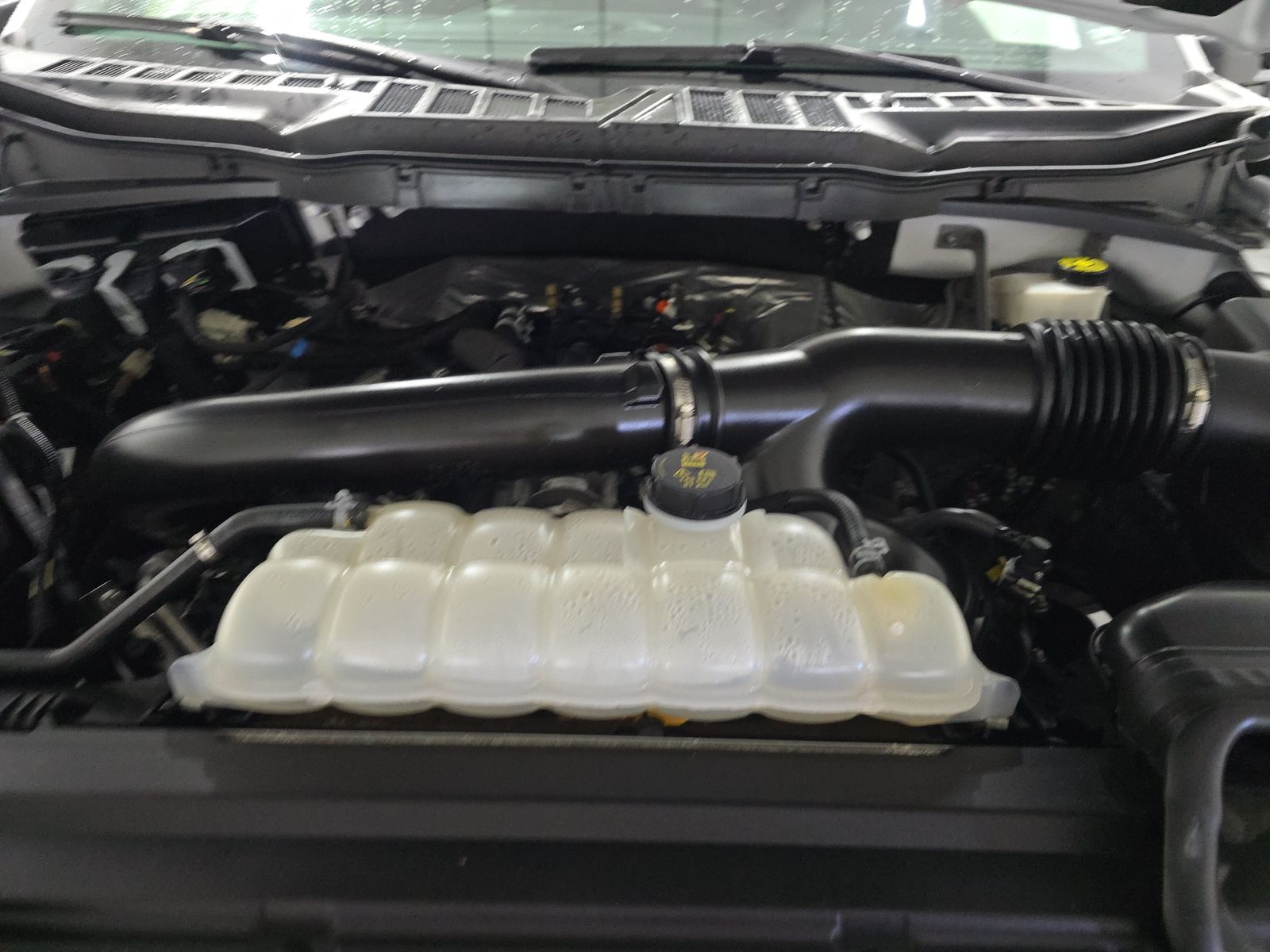 2024 Ford F-150 XLT AWD