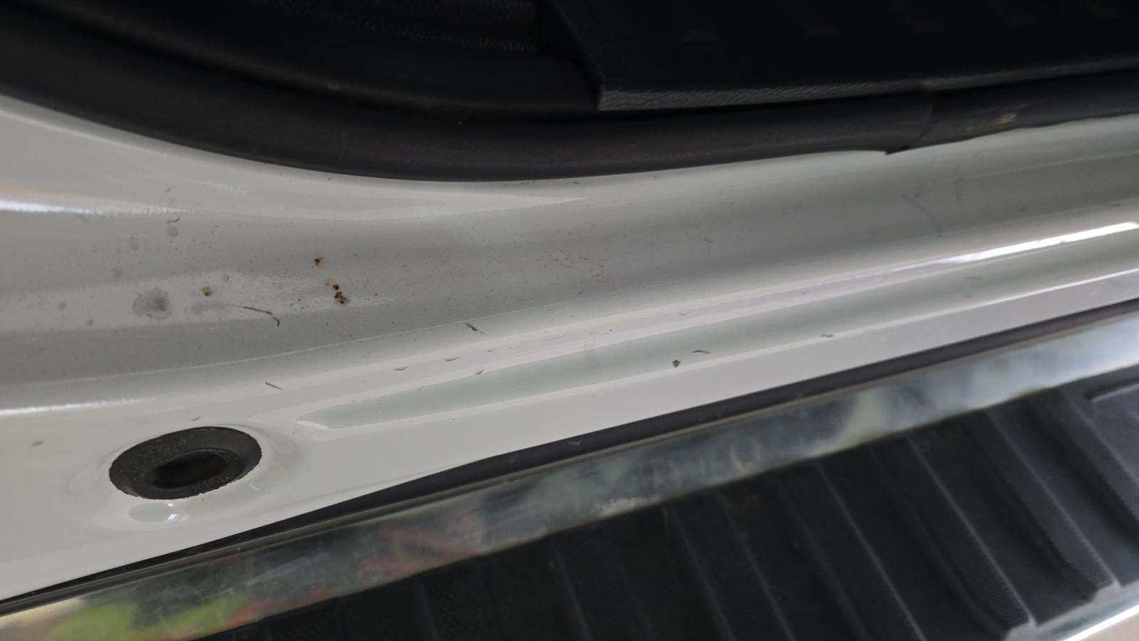 2024 Ford F-150 XLT AWD