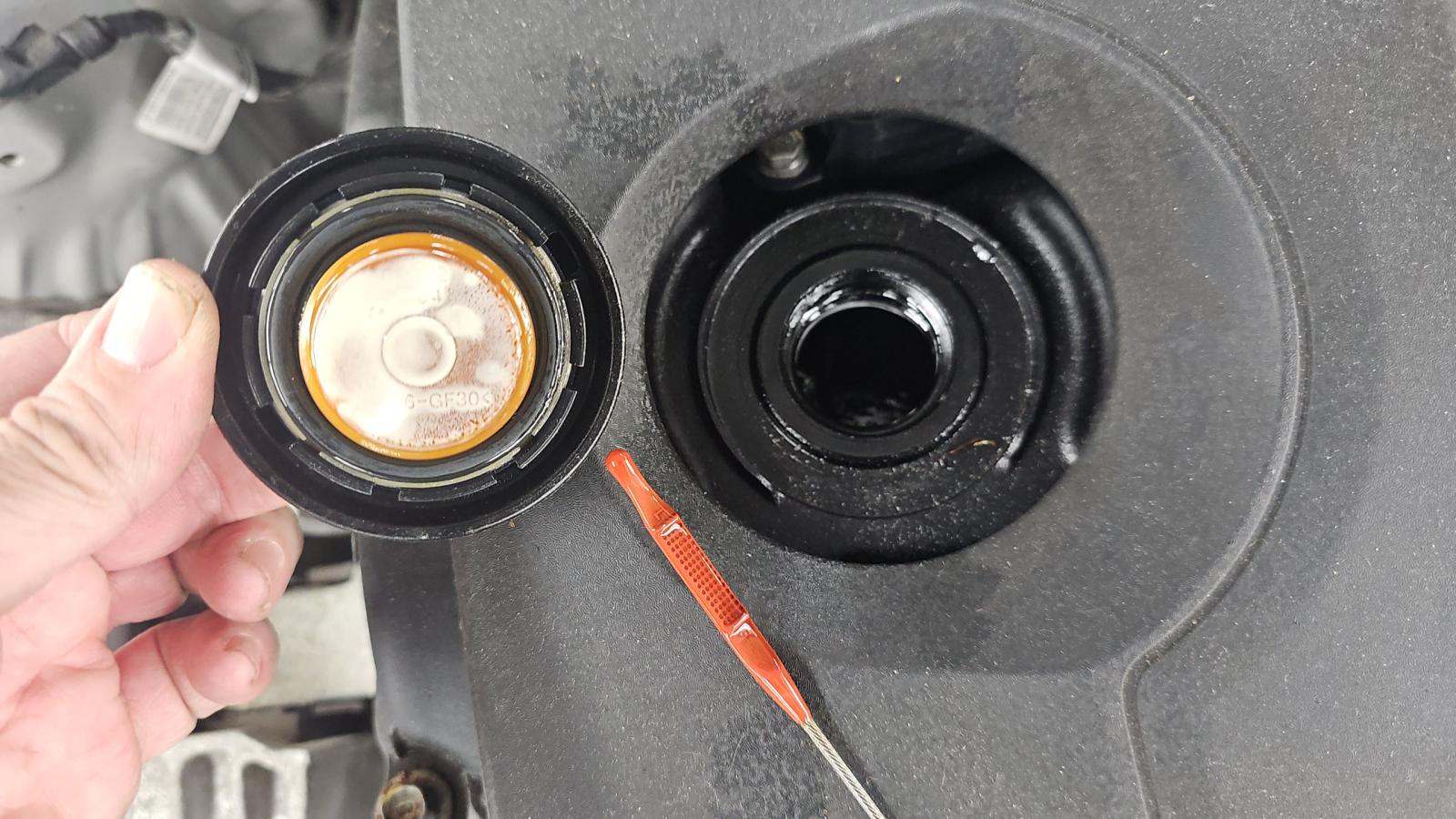 2019 Hyundai Elantra SE FWD