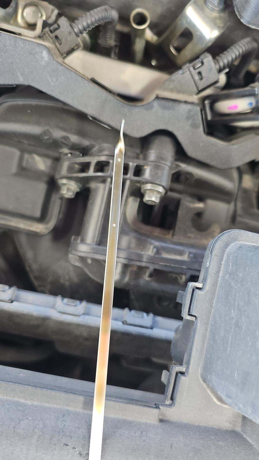 2024 Toyota RAV4 XLE Premium FWD