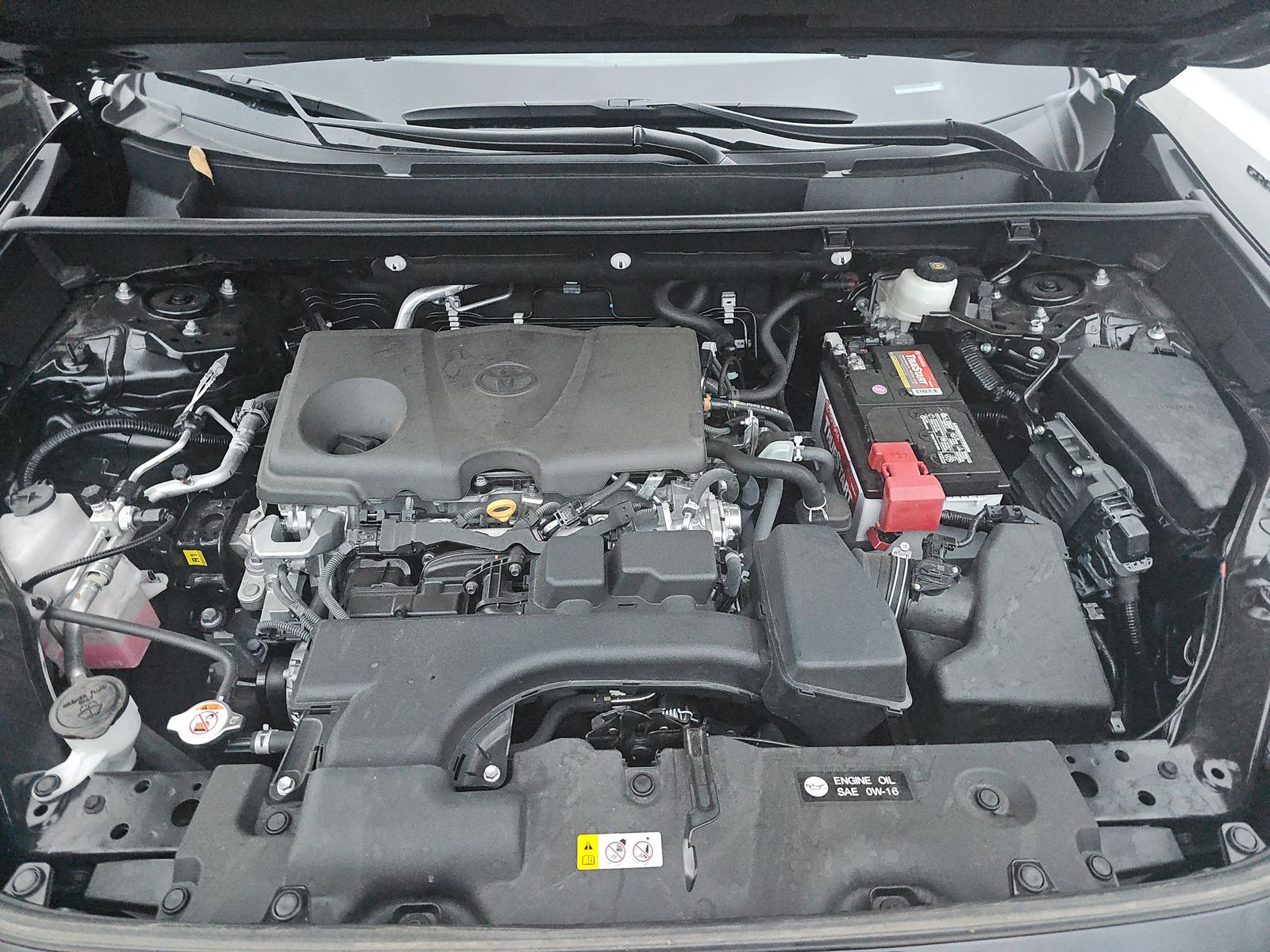 2024 Toyota RAV4 LE FWD