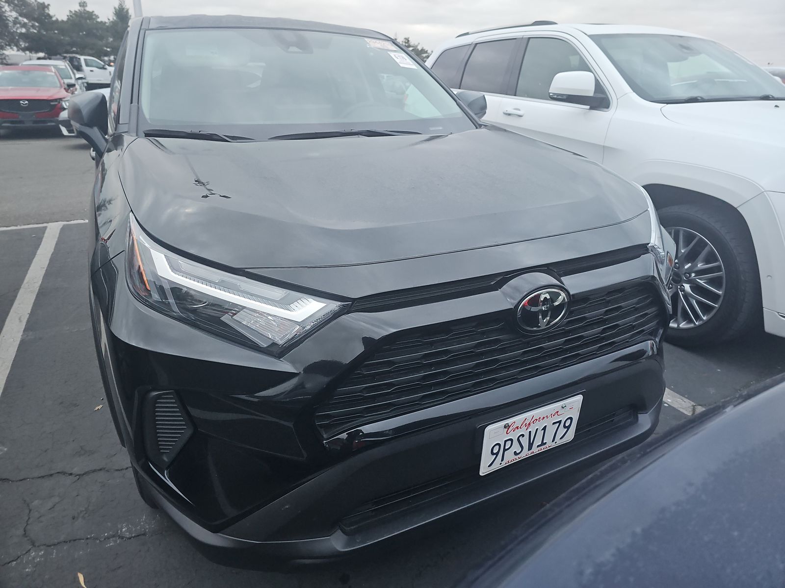 2024 Toyota RAV4 LE FWD