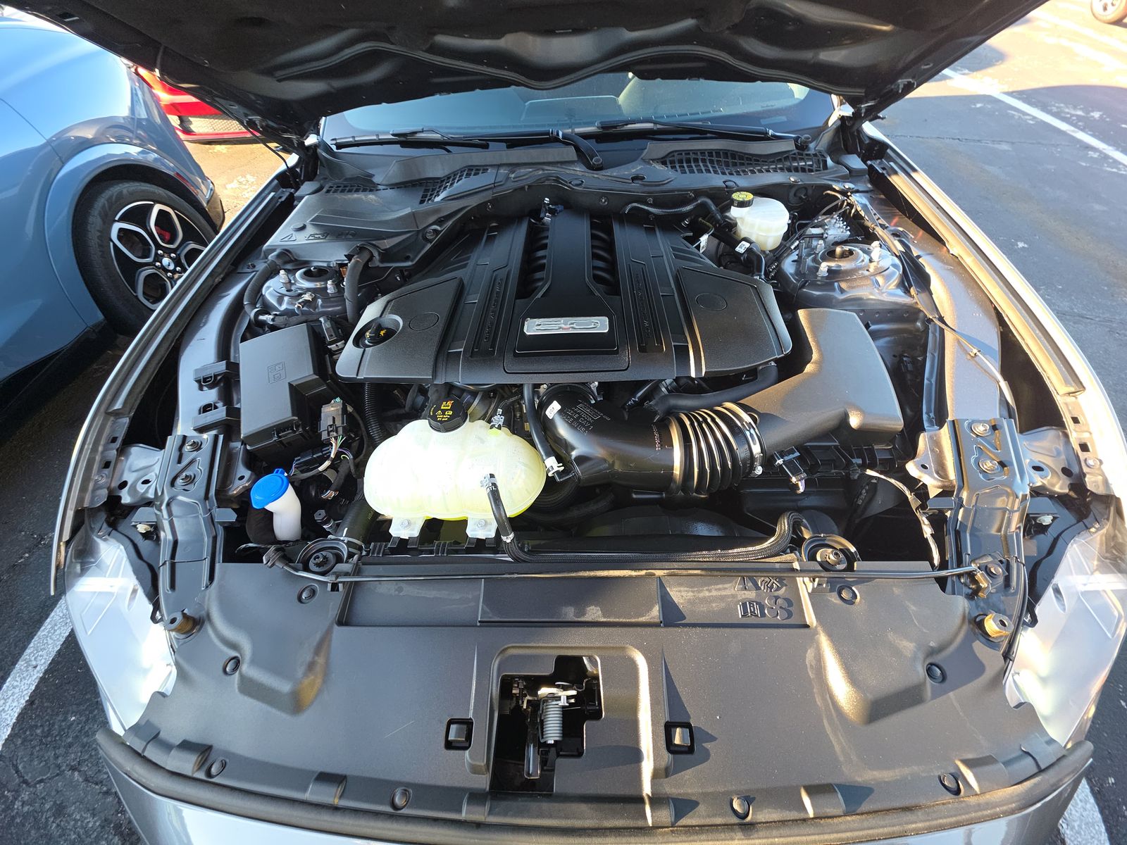 2022 Ford Mustang GT RWD