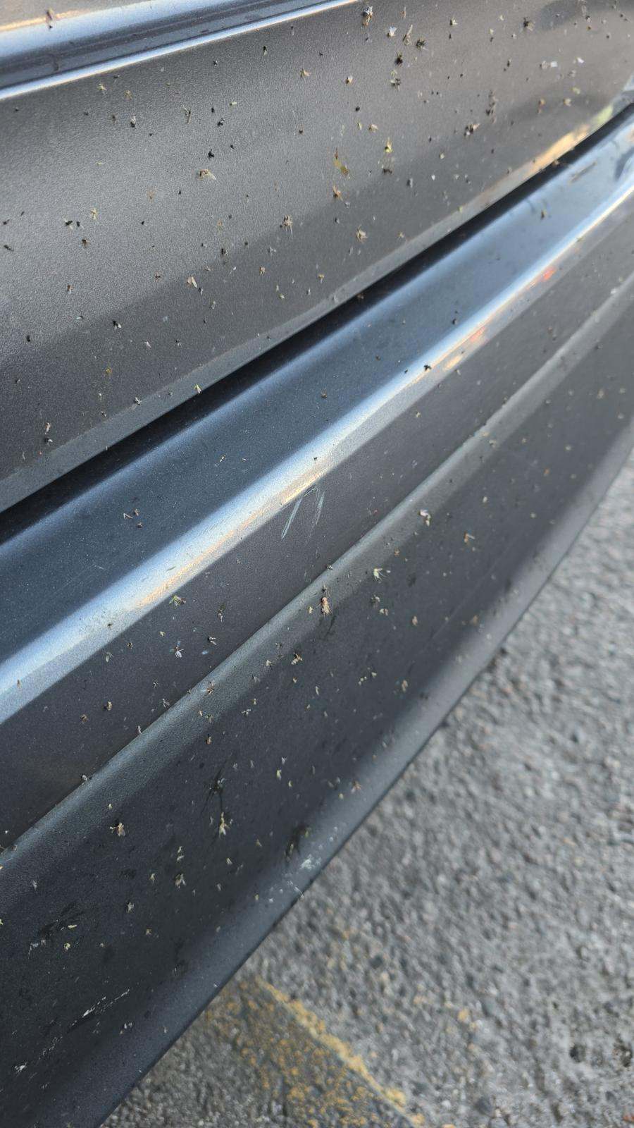 2024 Toyota Highlander LE AWD