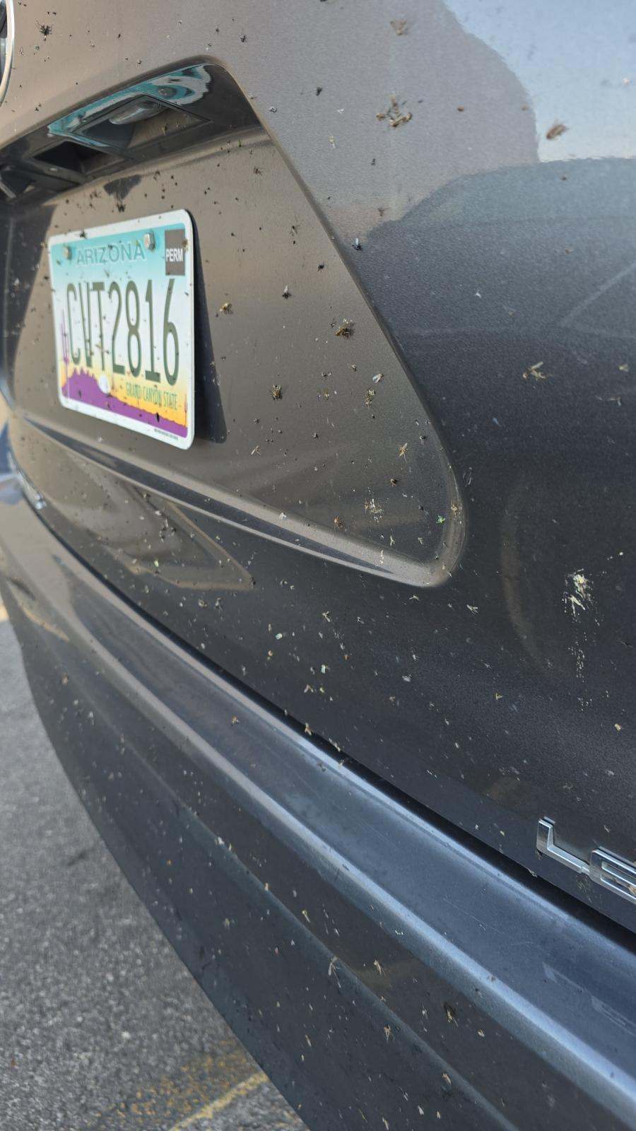 2024 Toyota Highlander LE AWD