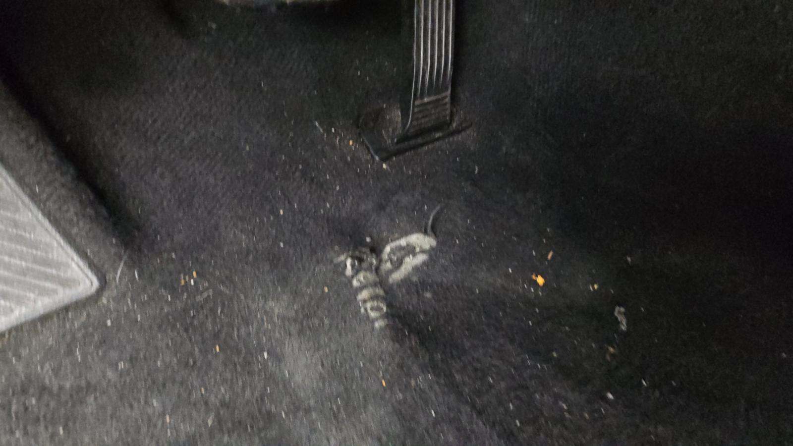 2024 Toyota Camry SE FWD