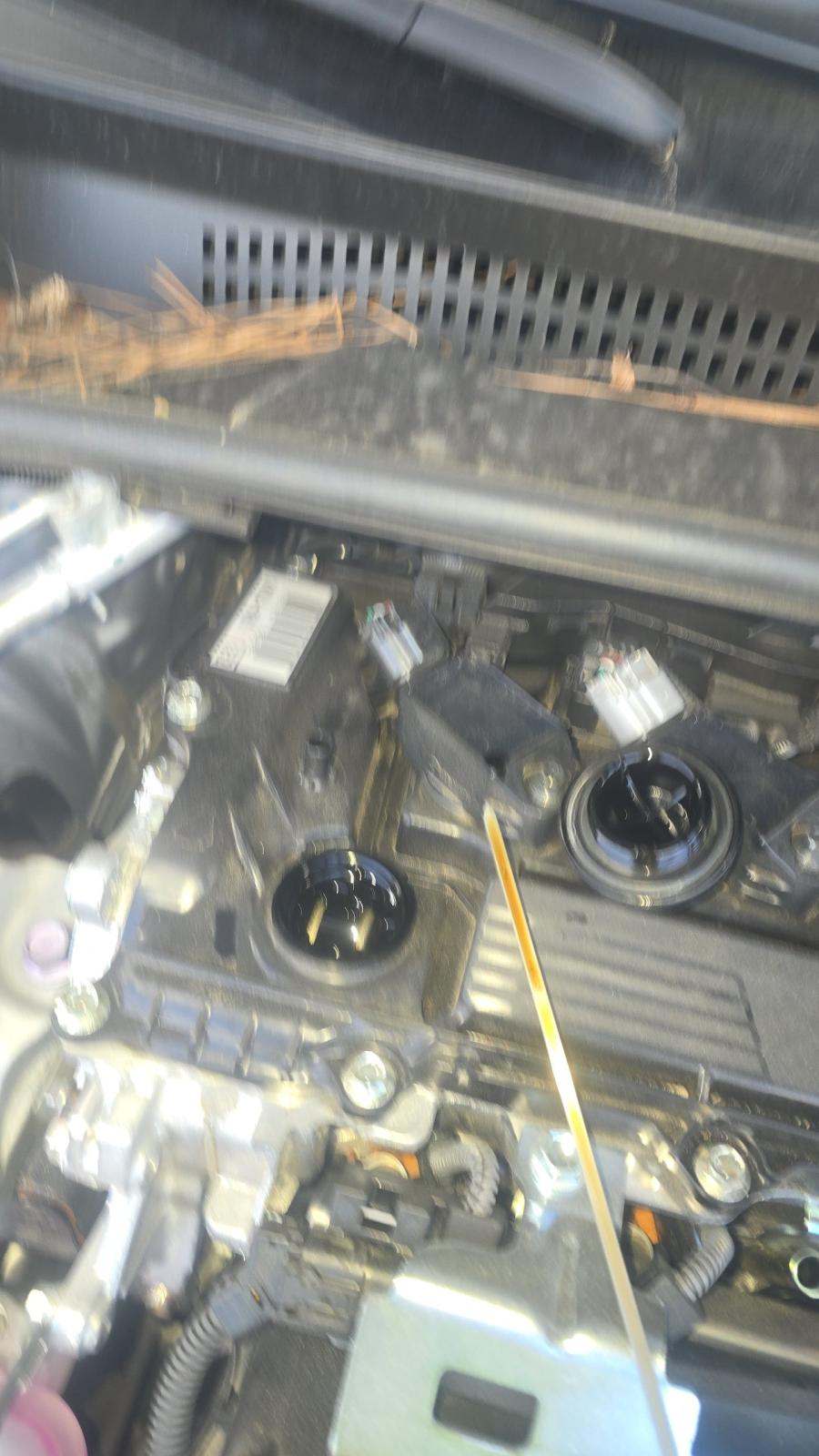 2025 Toyota Prius LE FWD