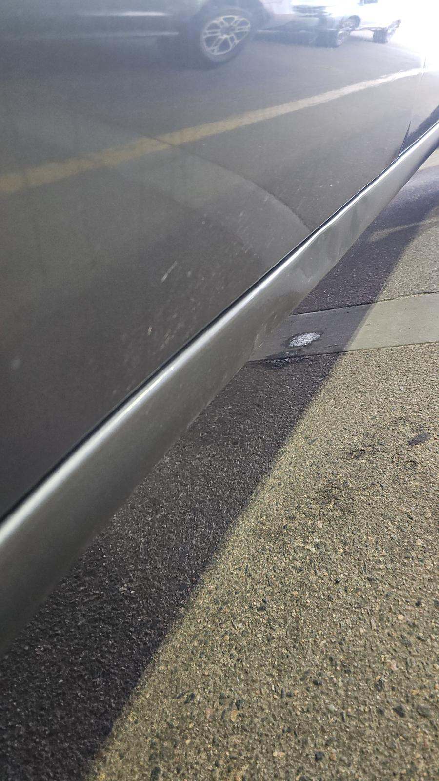 2019 Chevrolet Silverado 1500 Work Truck AWD