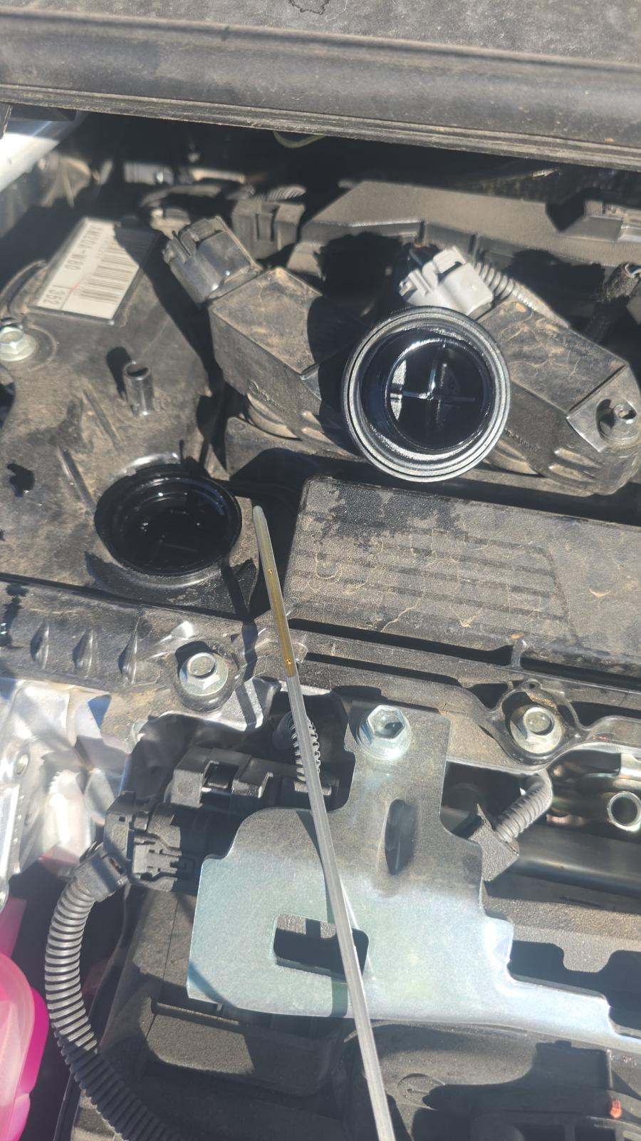 2025 Toyota Prius LE FWD