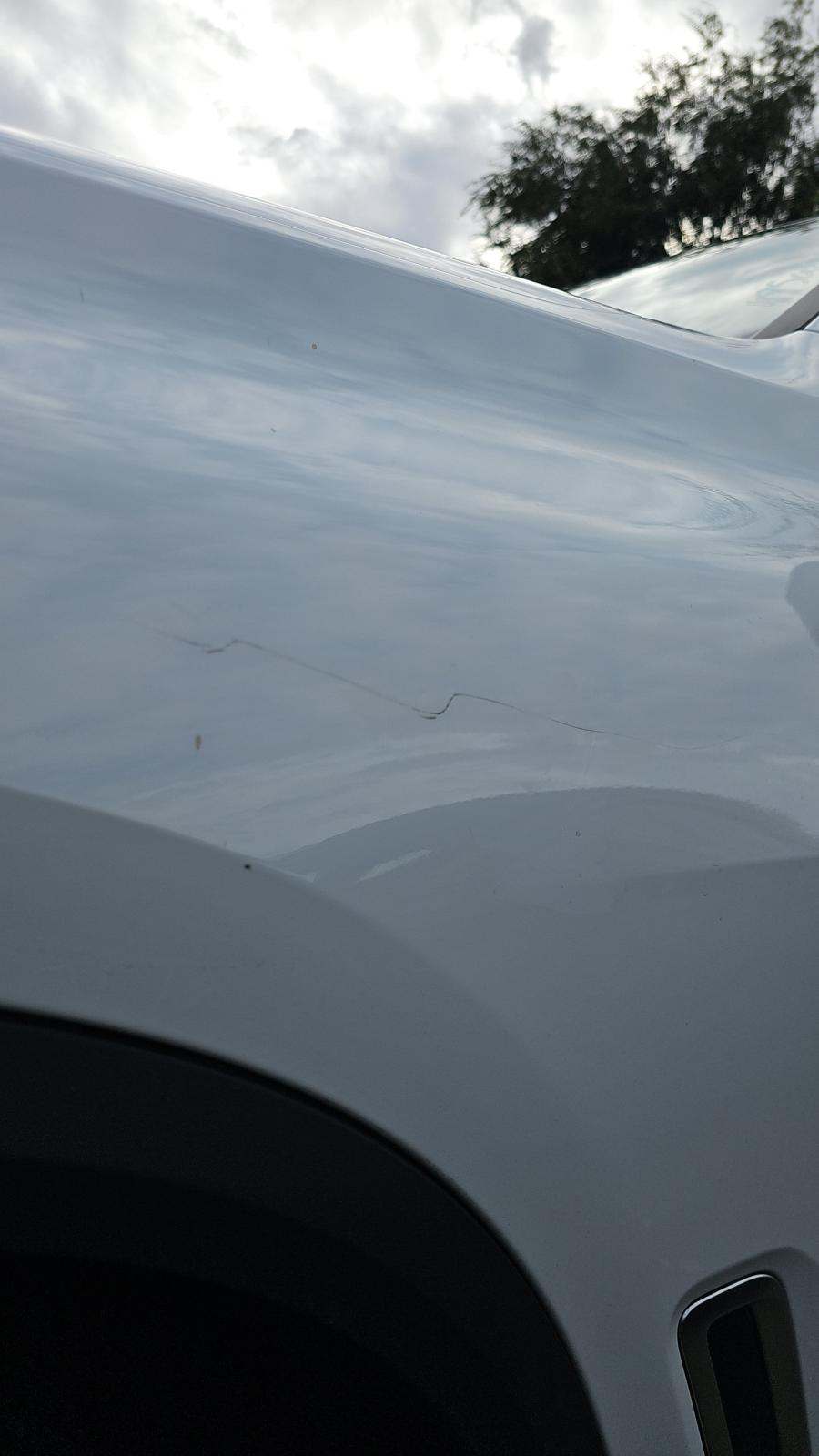 2023 BMW X5 sDrive40i RWD