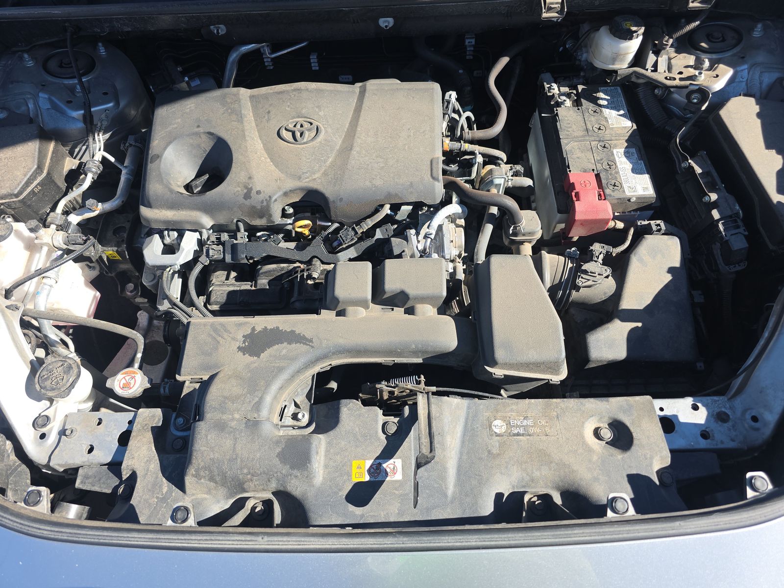 2024 Toyota RAV4 XLE AWD