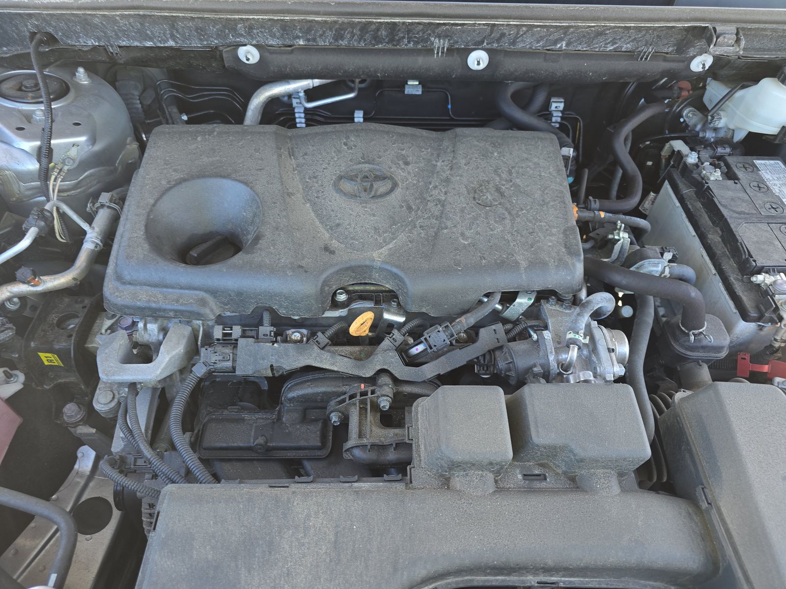 2024 Toyota RAV4 XLE AWD