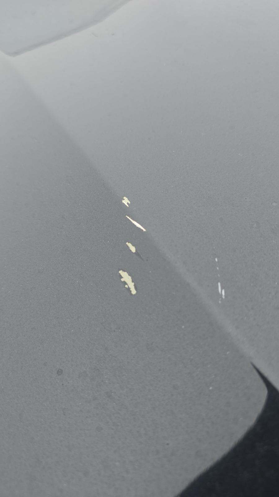 2024 BMW X5 xDrive40i AWD