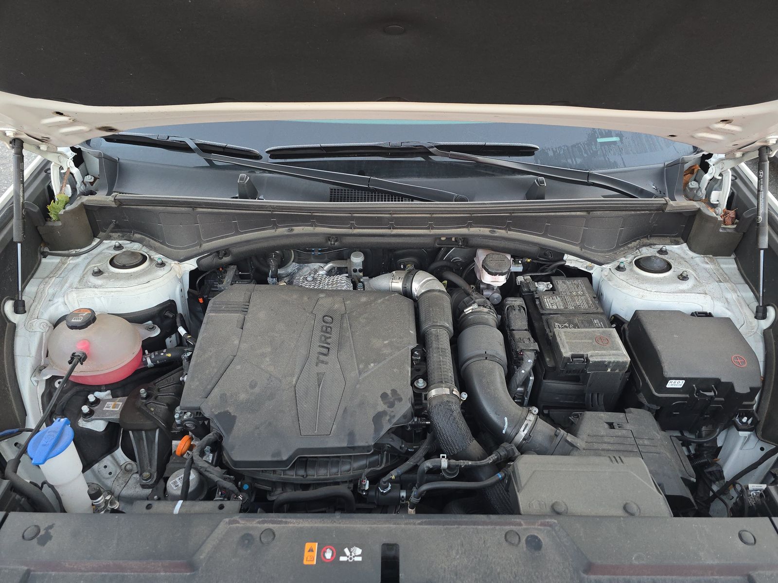 2024 Hyundai Santa Fe SEL AWD