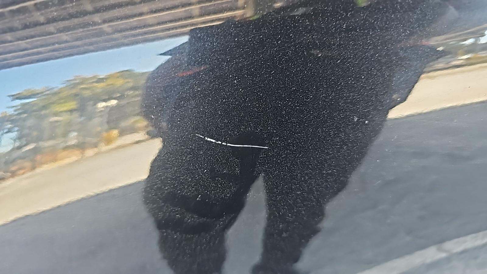 2025 BMW X7 xDrive40i AWD