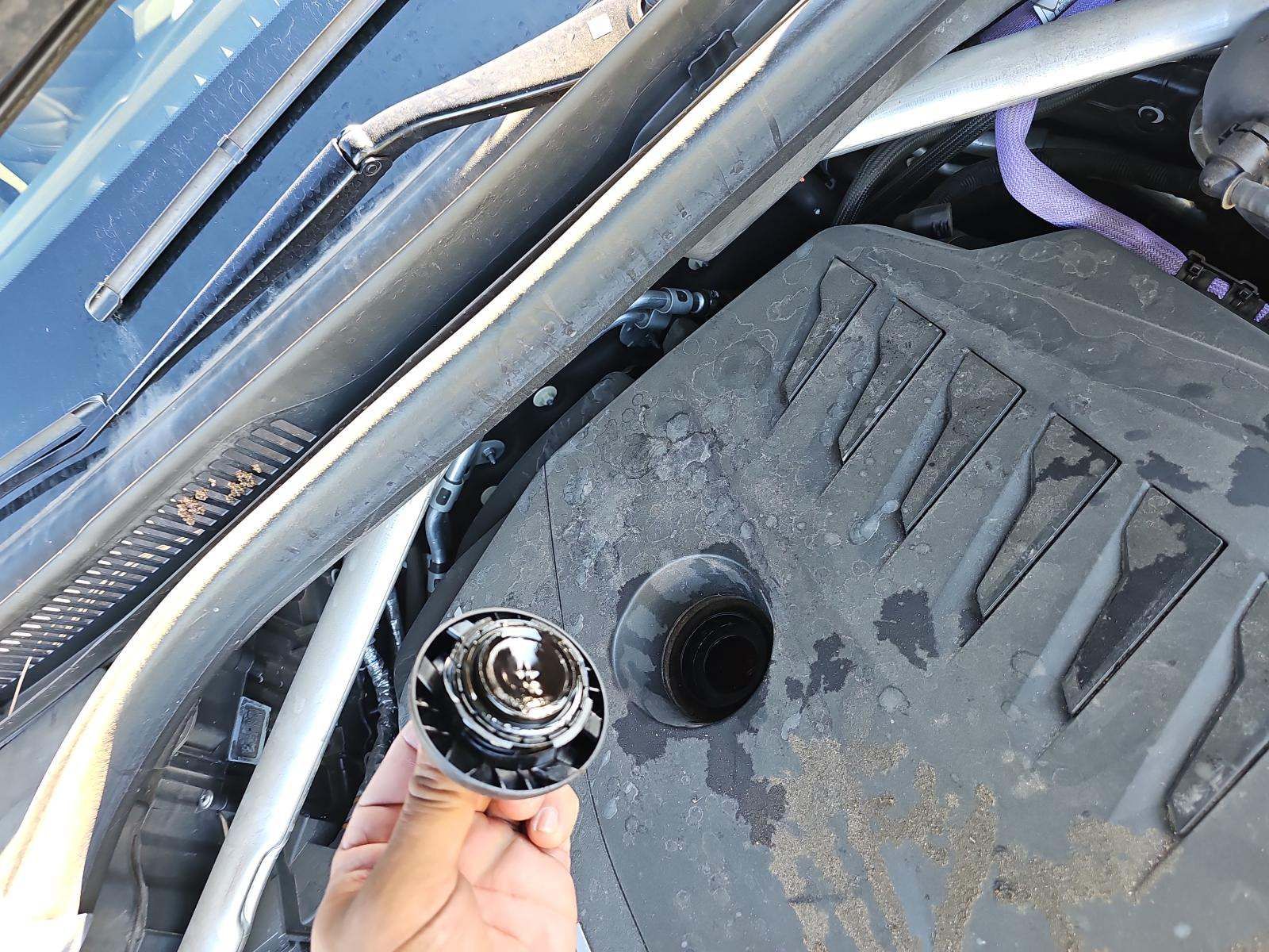 2024 BMW X5 xDrive40i AWD