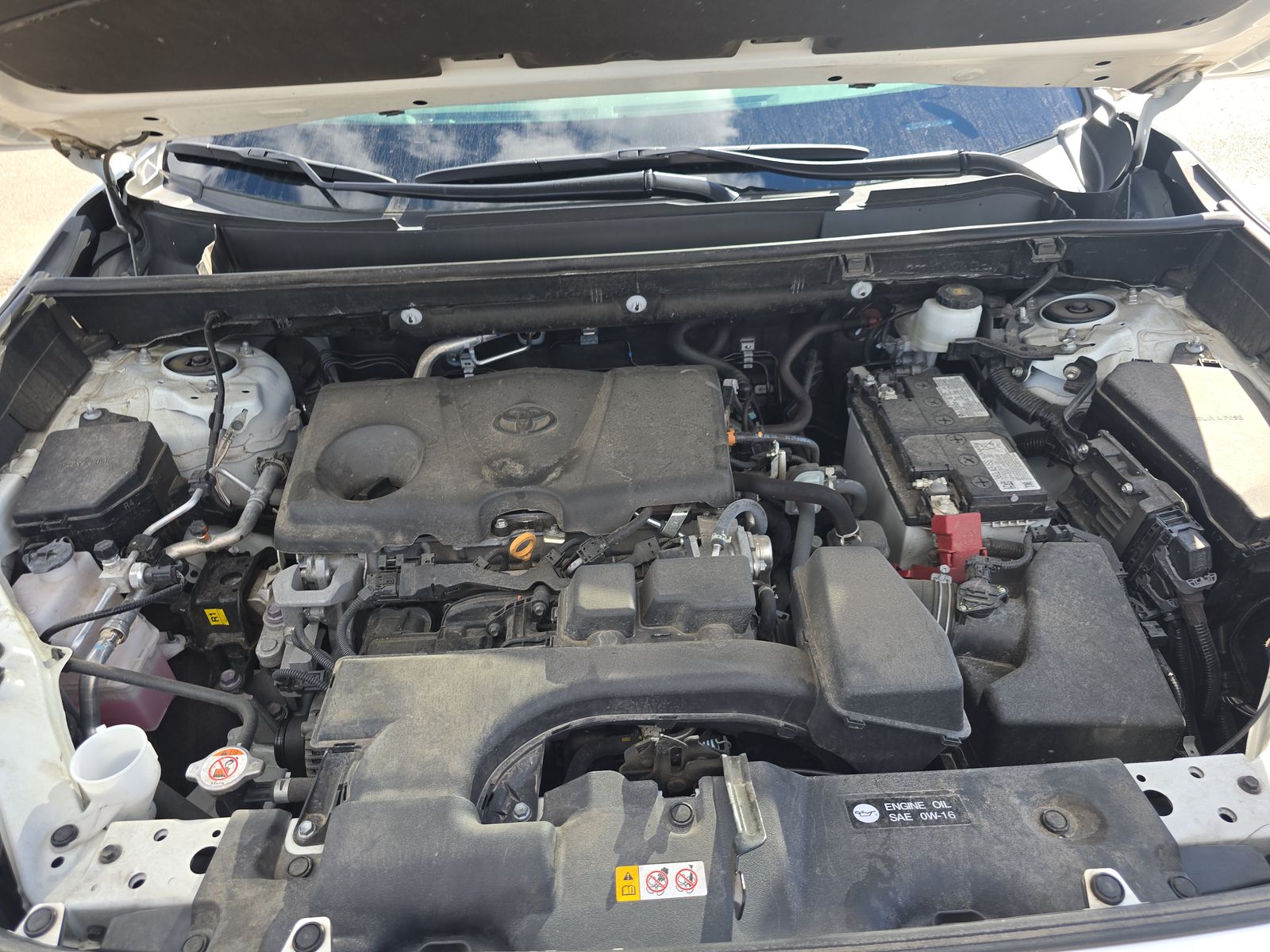 2024 Toyota RAV4 XLE AWD