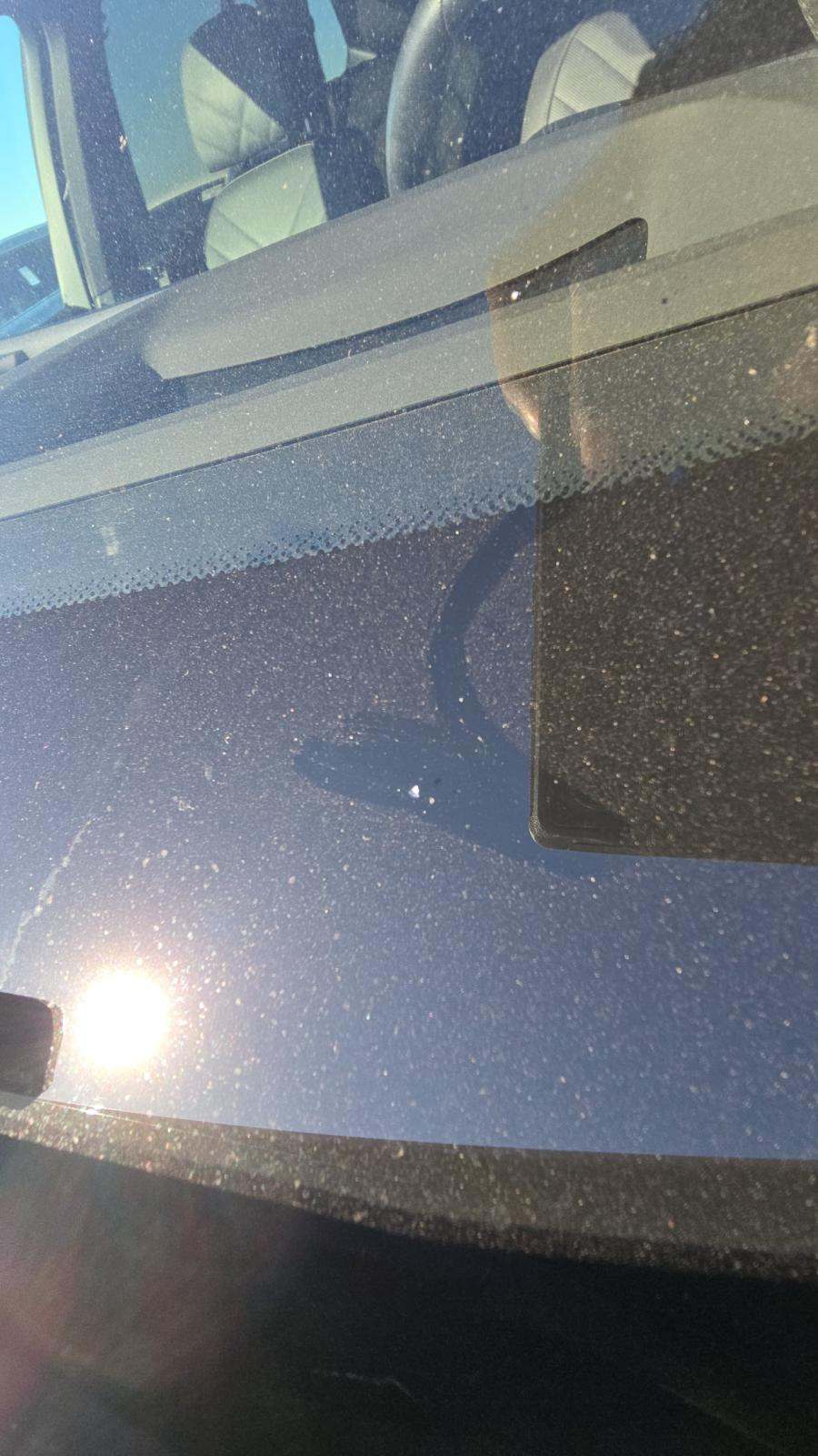 2024 BMW X5 xDrive40i AWD