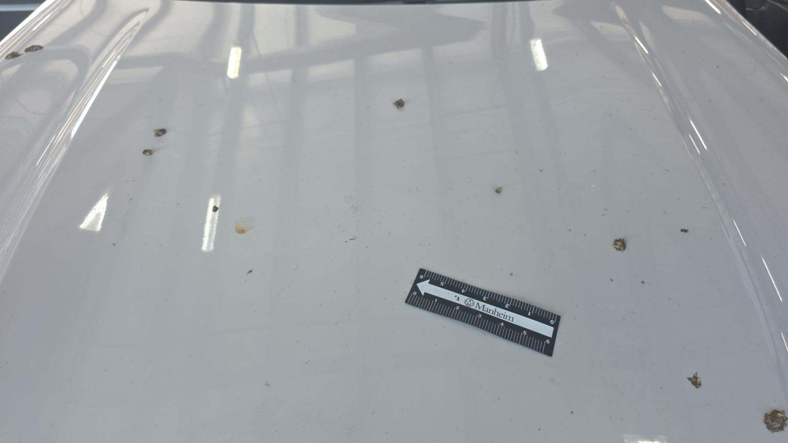 2023 BMW X5 xDrive45e AWD