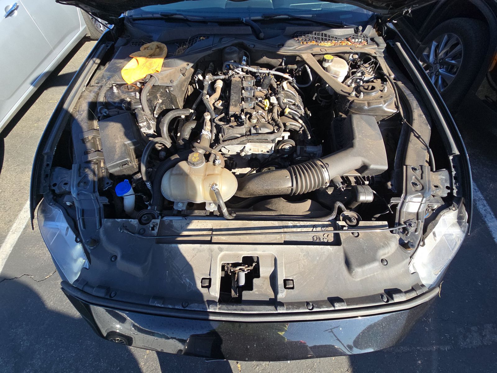 2023 Ford Mustang EcoBoost Premium RWD