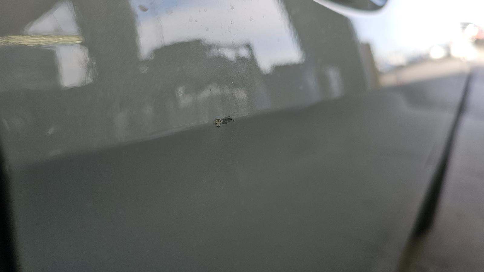 2025 BMW 2 Series 228i xDrive AWD