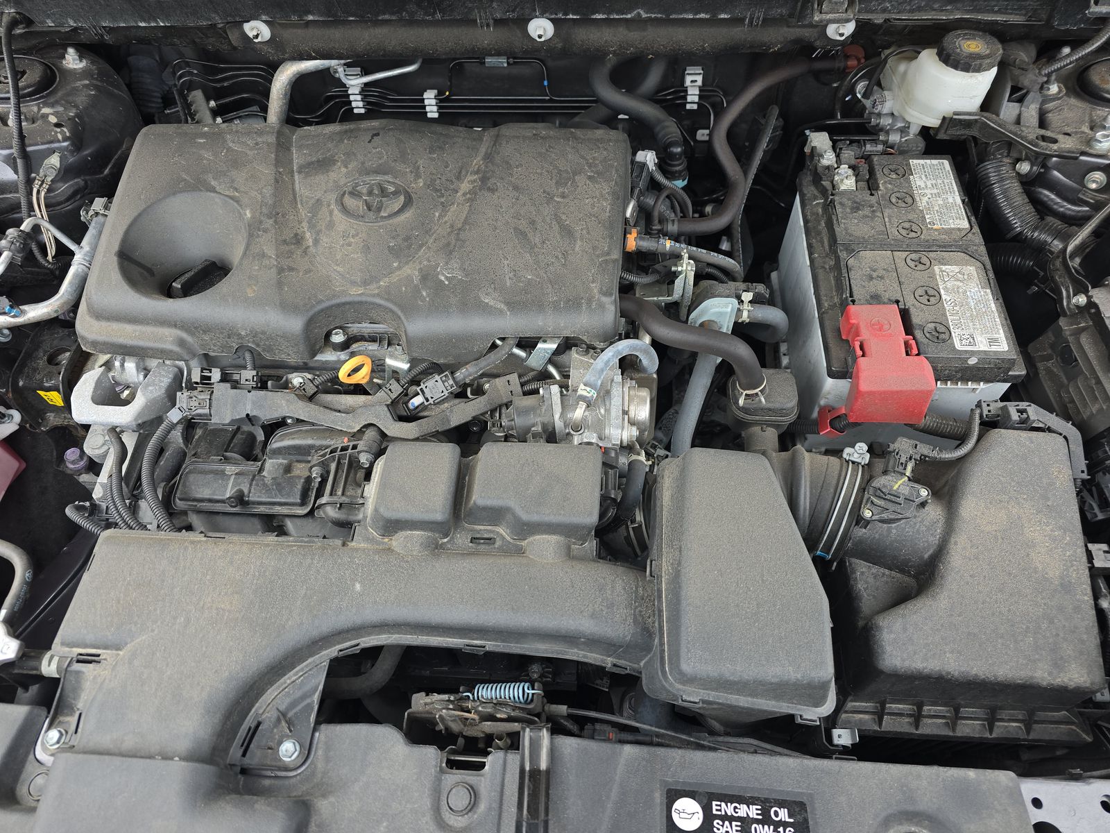 2024 Toyota RAV4 XLE AWD