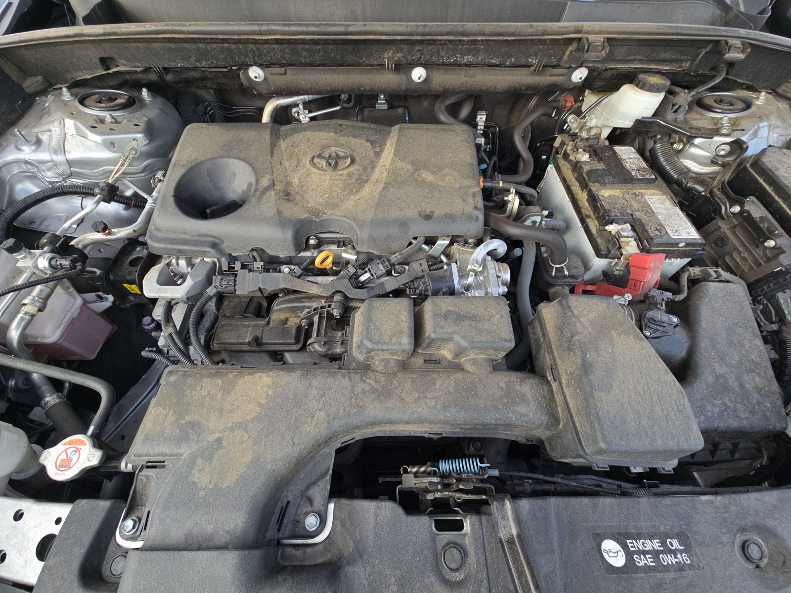 2024 Toyota RAV4 XLE AWD