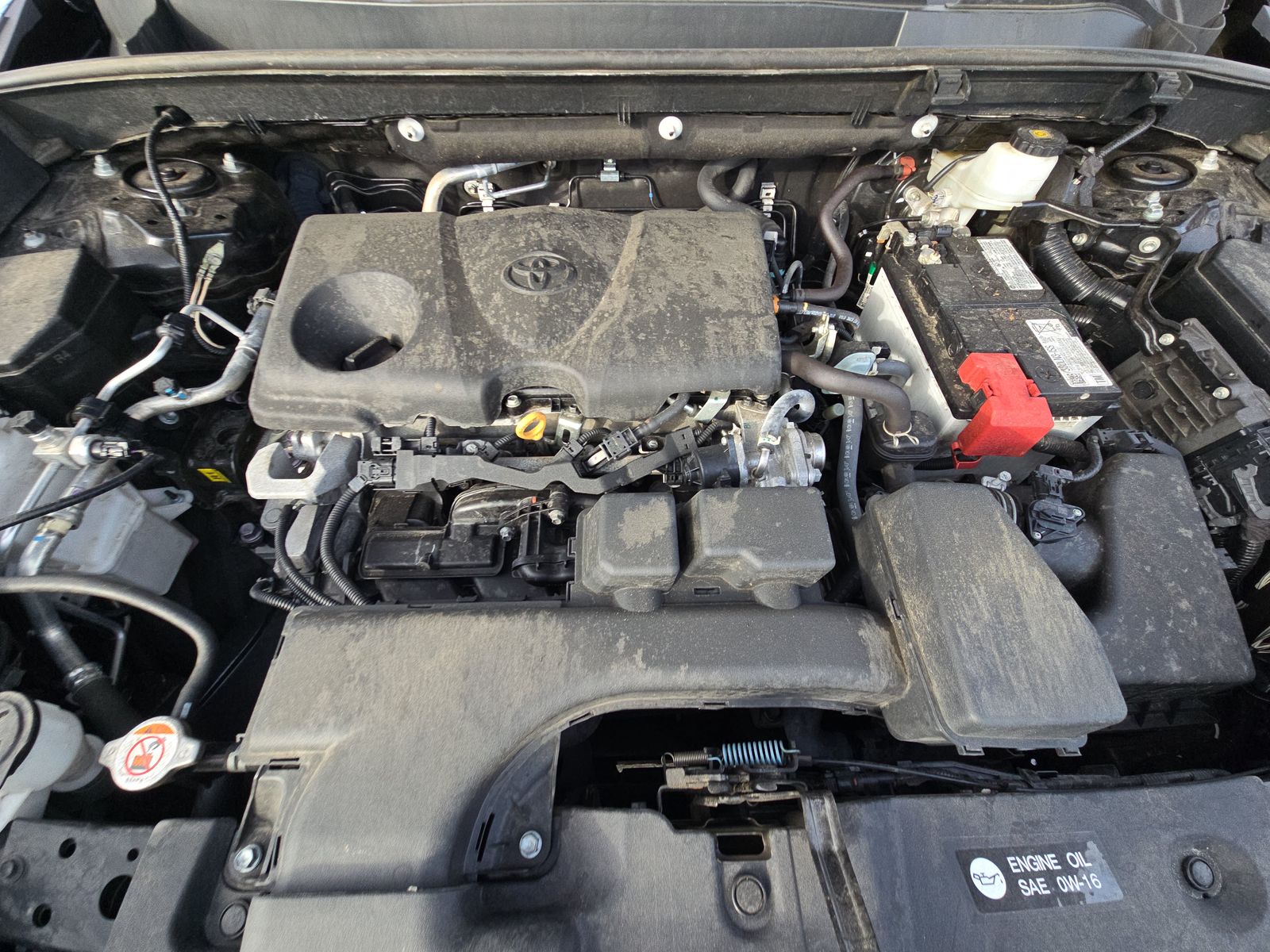 2024 Toyota RAV4 XLE AWD