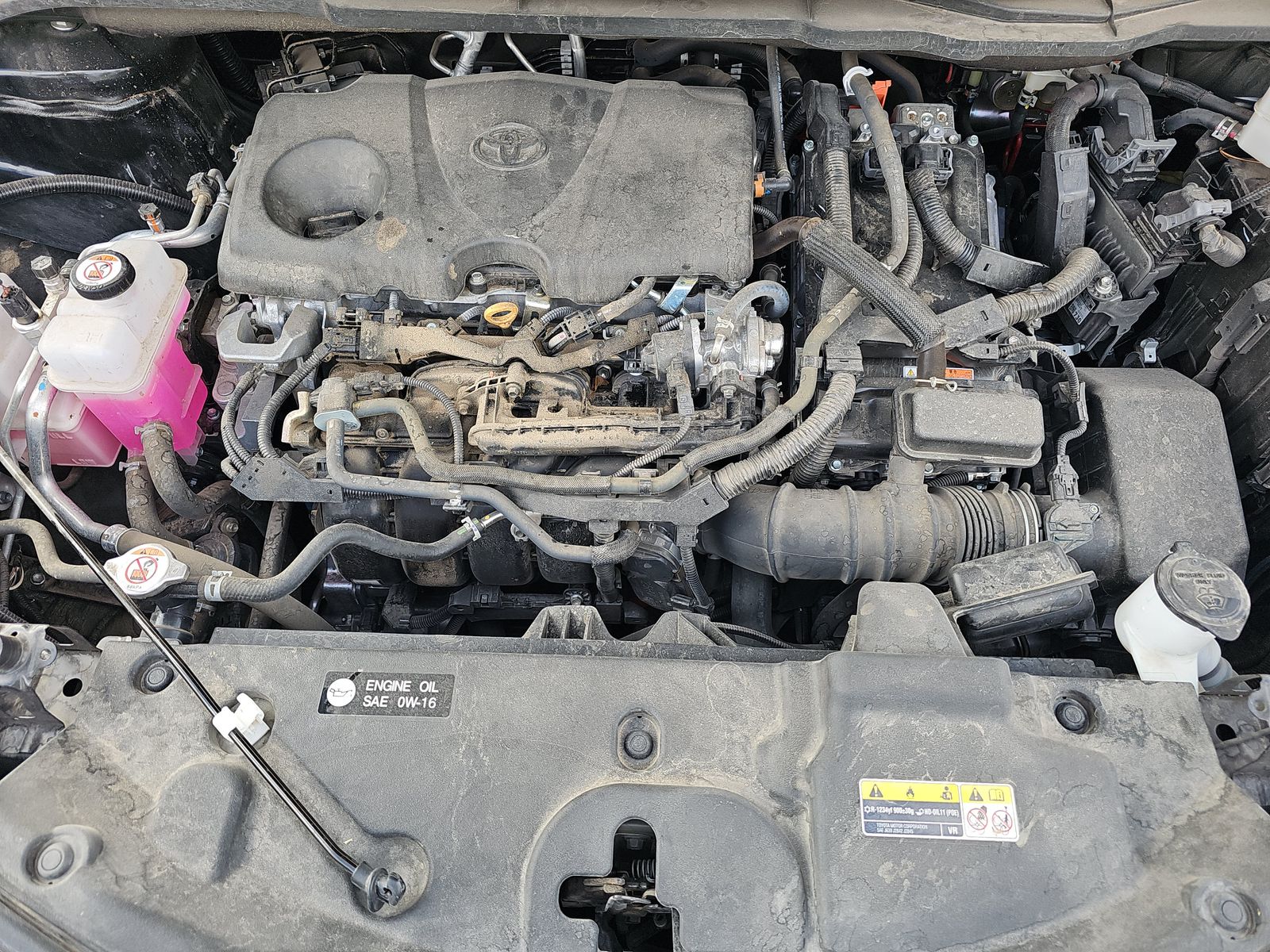 2024 Toyota Sienna XLE FWD