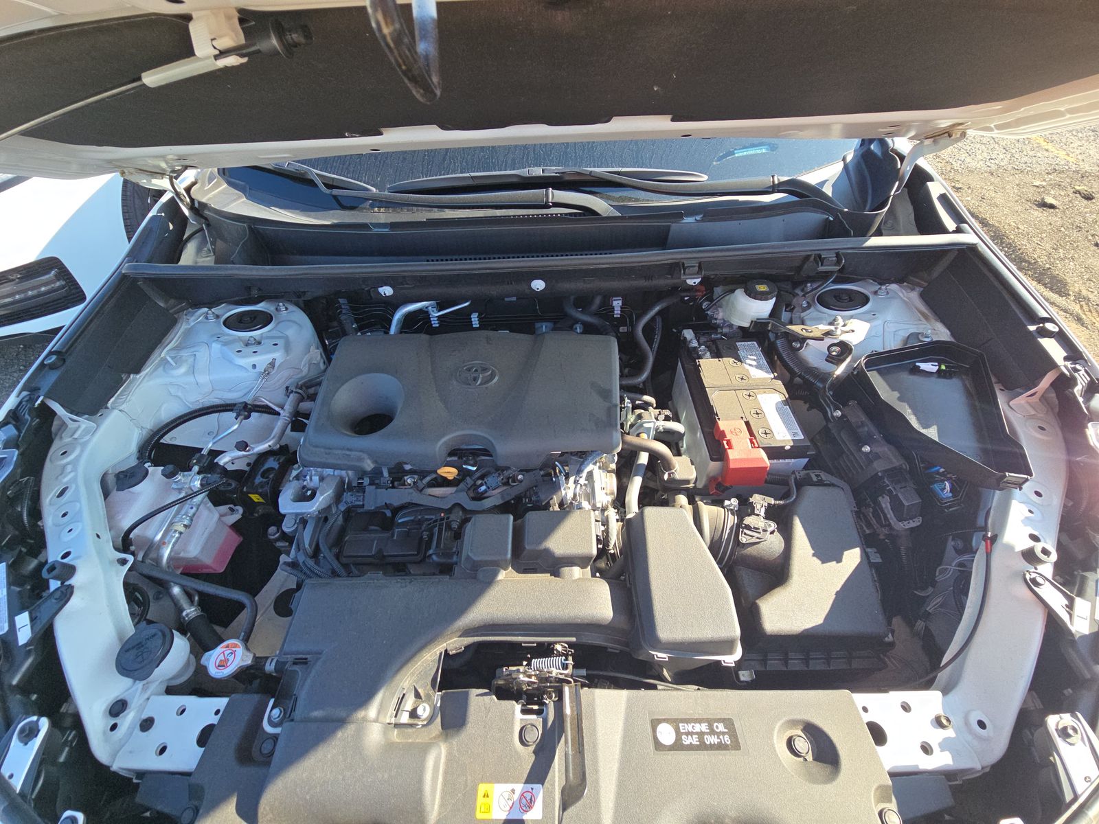 2025 Toyota RAV4 LE AWD