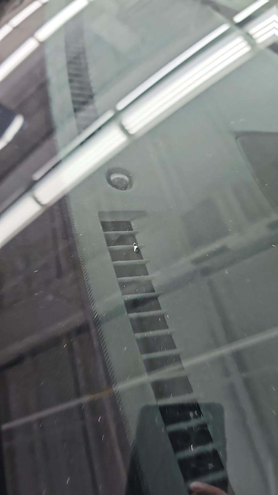 2023 Nissan Murano Platinum AWD