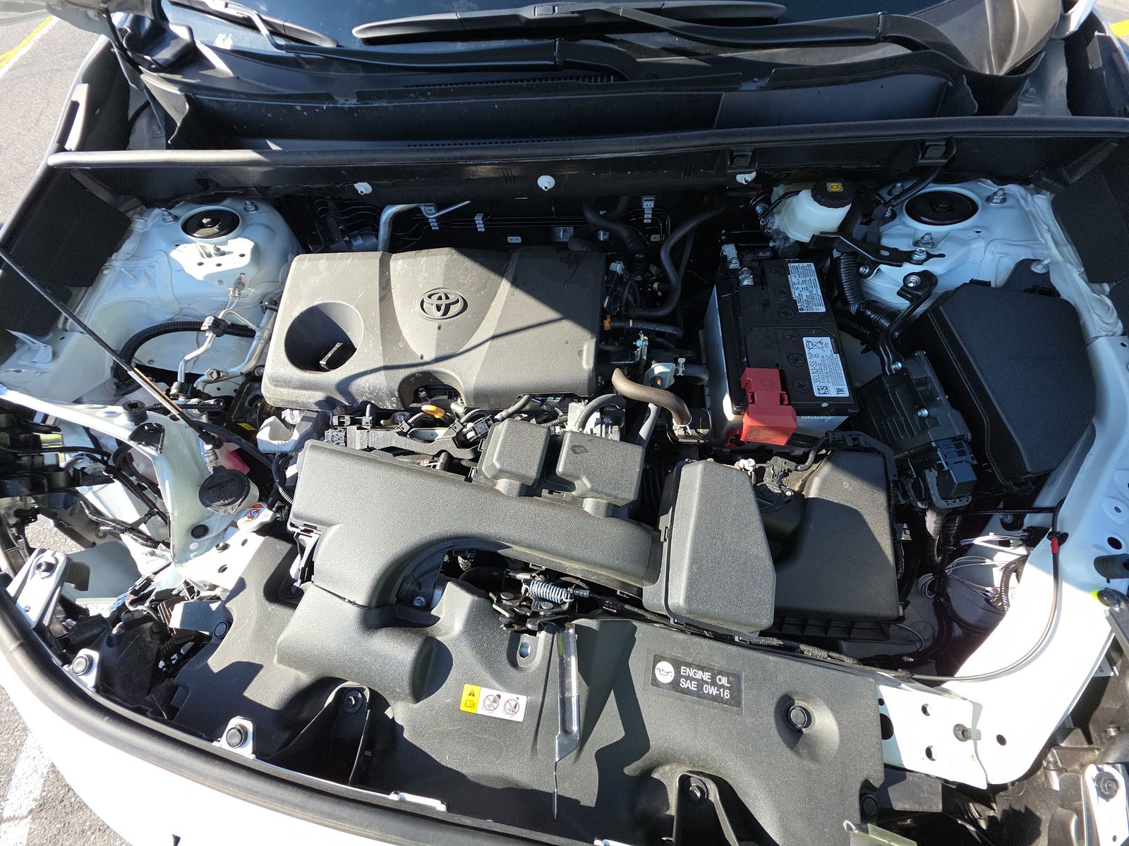 2025 Toyota RAV4 XLE AWD