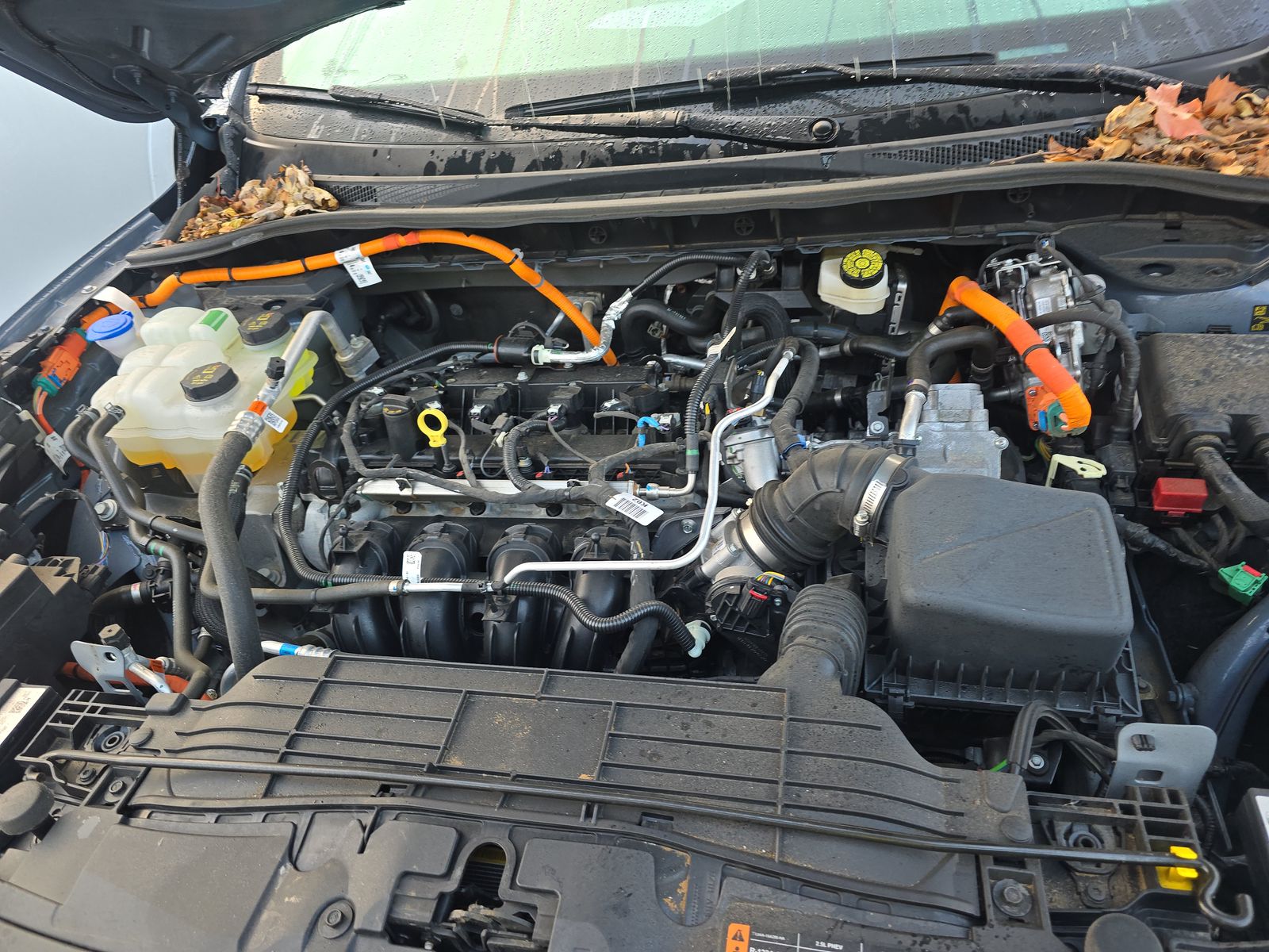 2025 Ford Escape Hybrid ST-Line FWD