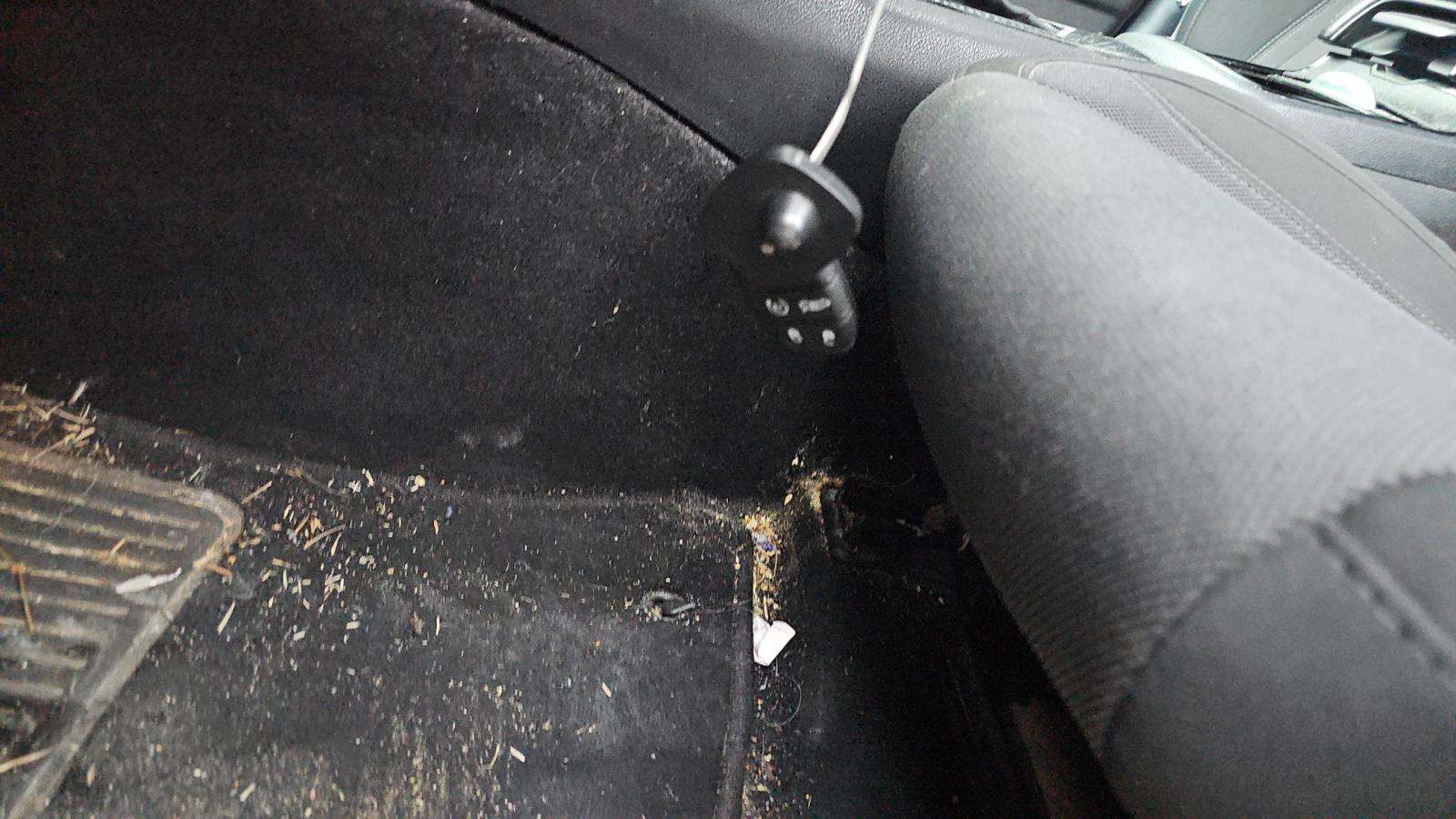 2019 Dodge Charger SXT RWD