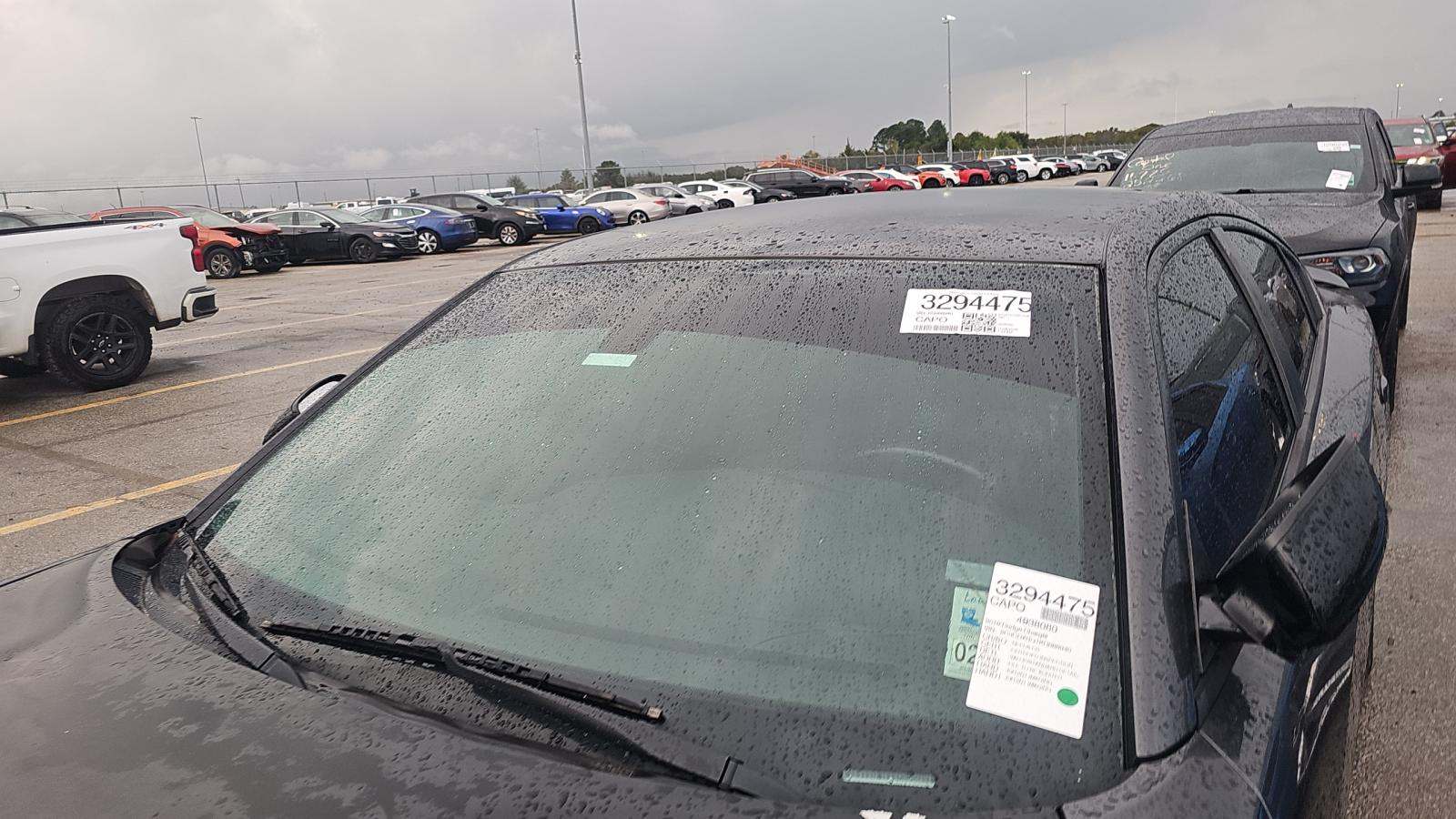 2019 Dodge Charger SXT RWD