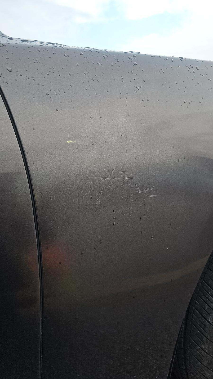 2019 Dodge Charger SXT RWD