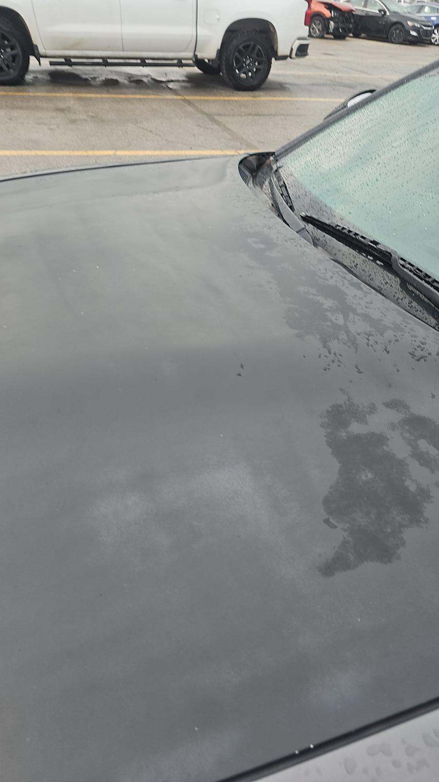 2019 Dodge Charger SXT RWD