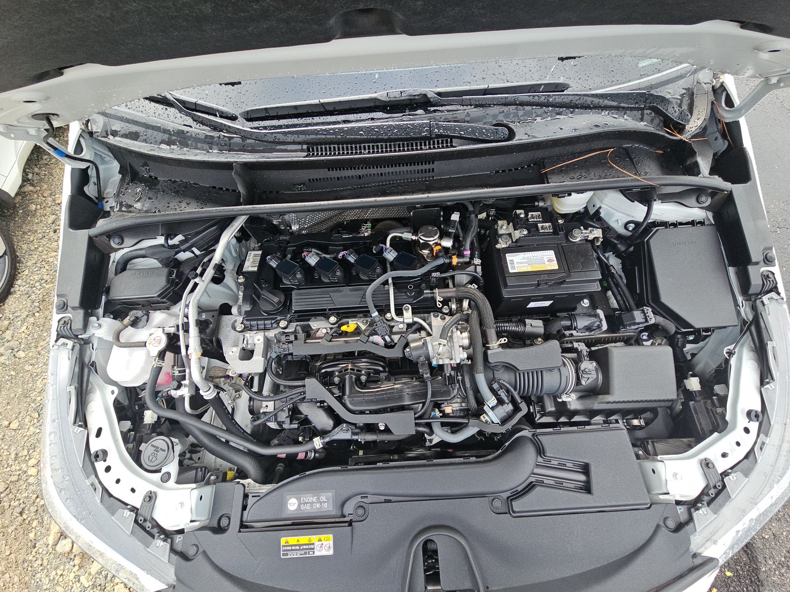 2023 Toyota Corolla XSE FWD