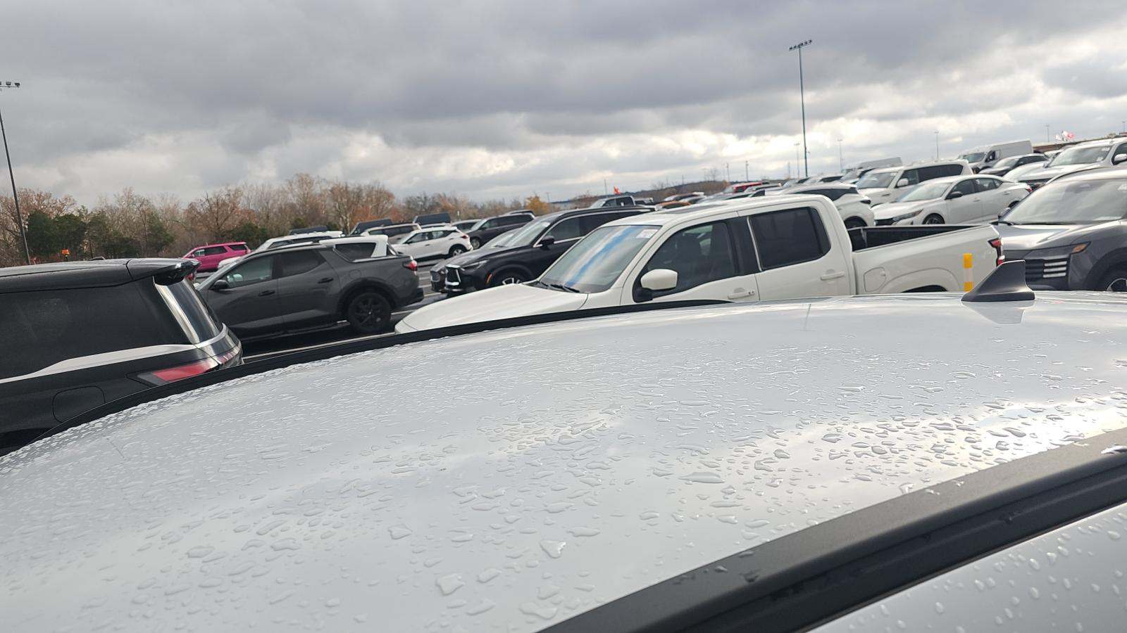 2025 Ford Escape Hybrid ST-Line Elite AWD