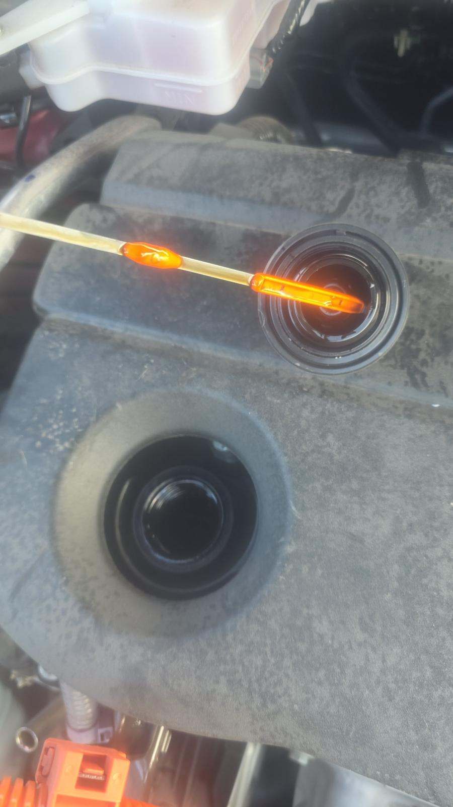 2025 Honda CR-V Hybrid Sport-L FWD