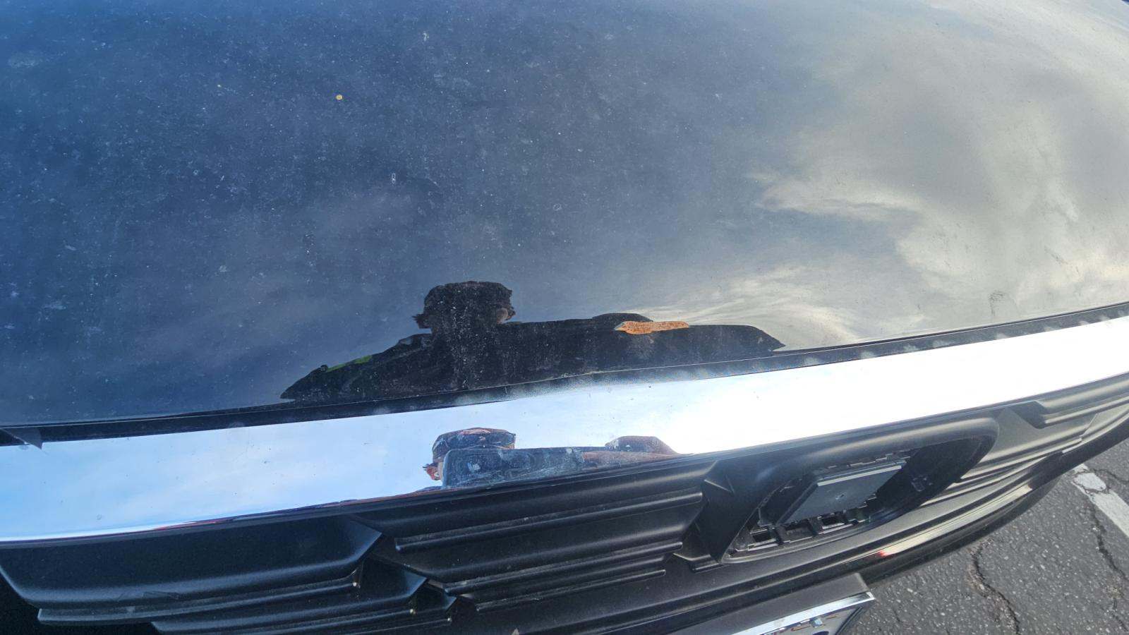 2025 Honda CR-V LX FWD