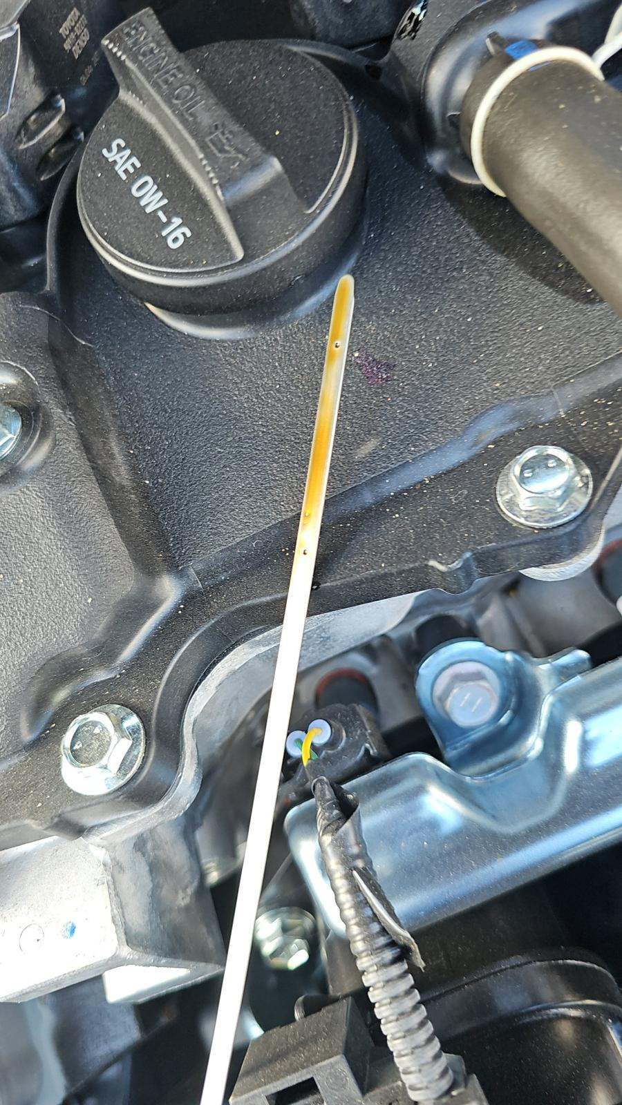 2025 Toyota Corolla Hybrid LE FWD