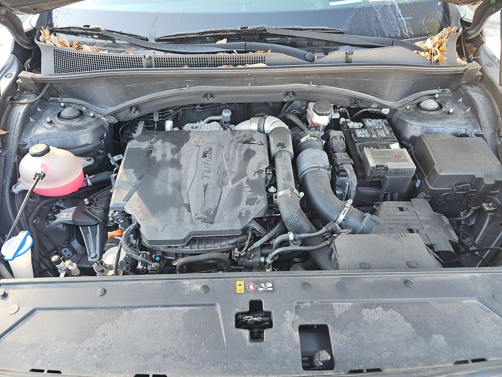 2023 Hyundai Santa Fe Calligraphy AWD