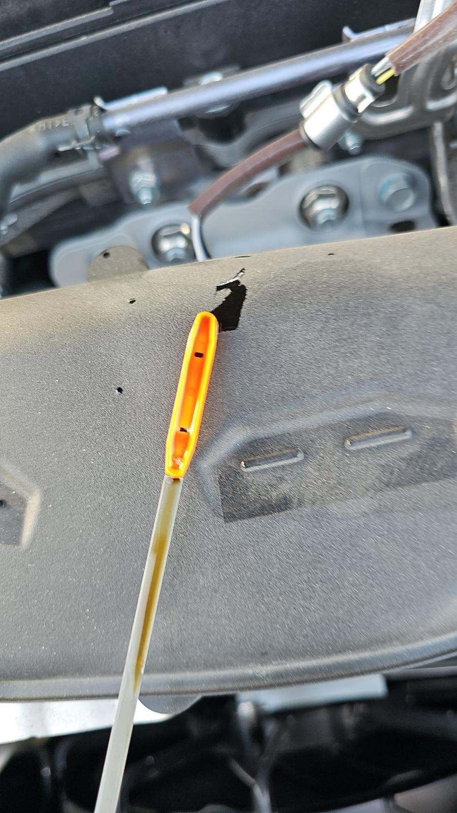 2025 Honda Accord SE FWD