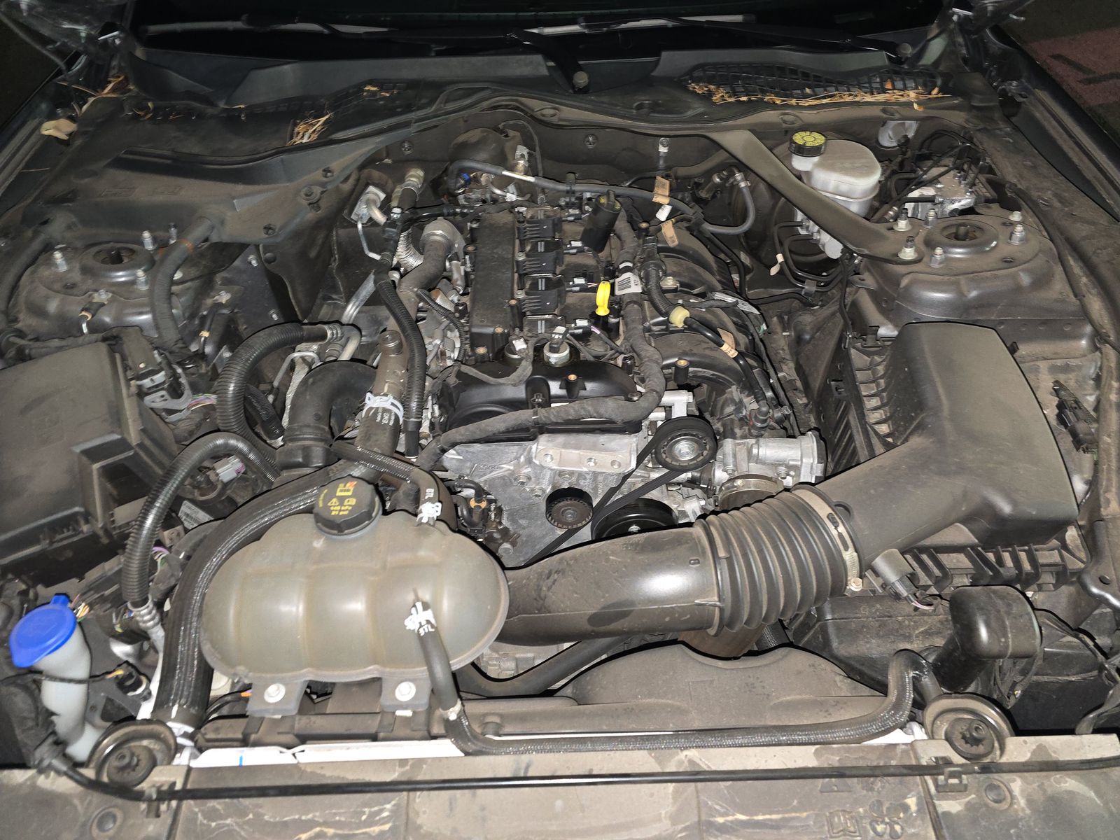 2023 Ford Mustang EcoBoost Premium RWD