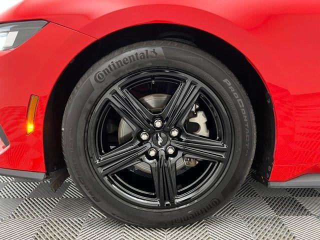 2024 Ford Mustang EcoBoost RWD