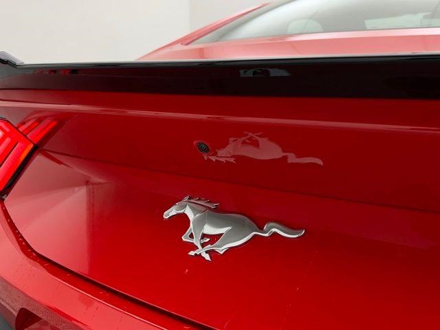 2024 Ford Mustang EcoBoost RWD