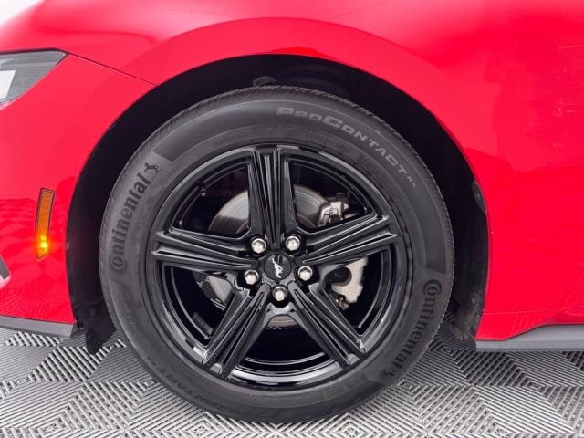 2024 Ford Mustang EcoBoost RWD